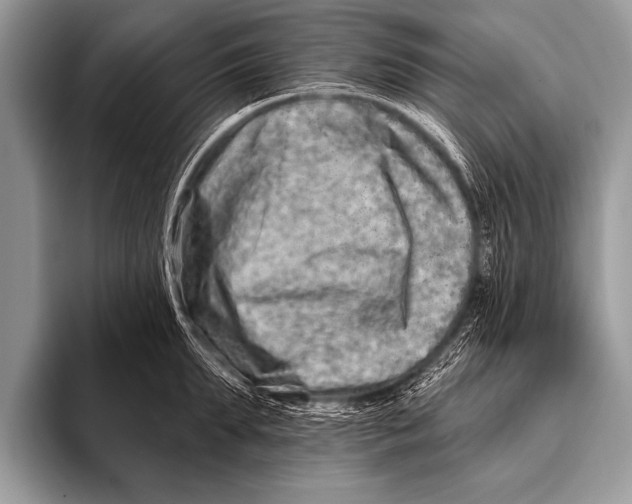 X0000096190903200802081517