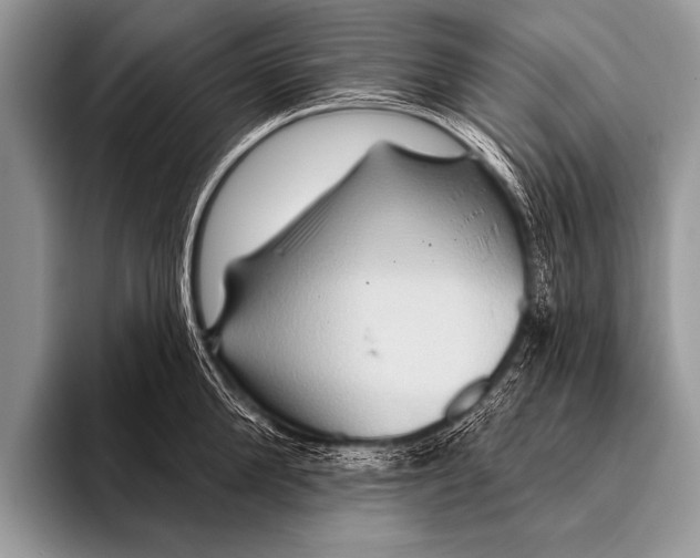 X0000096190904200802081517