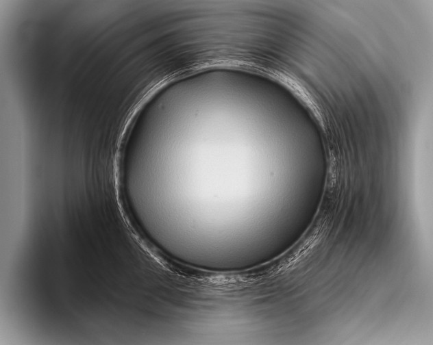 X0000096190906200802081517