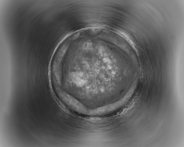 X0000096190907200802081517