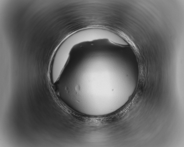 X0000096190908200802081517