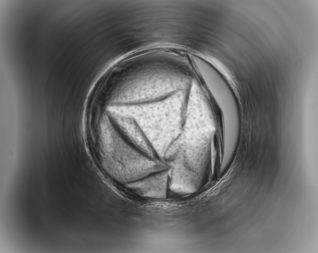 X0000096190910200802081517