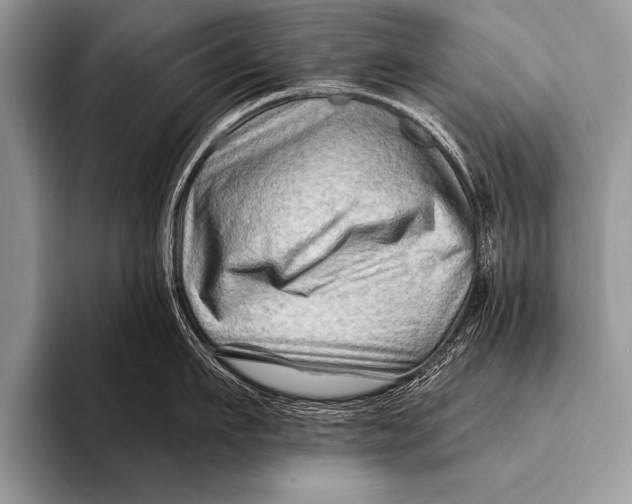 X0000096190911200802081517