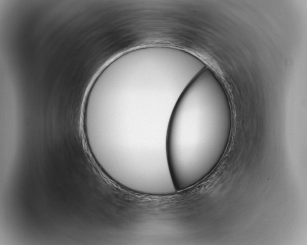 X0000096190912200802081517