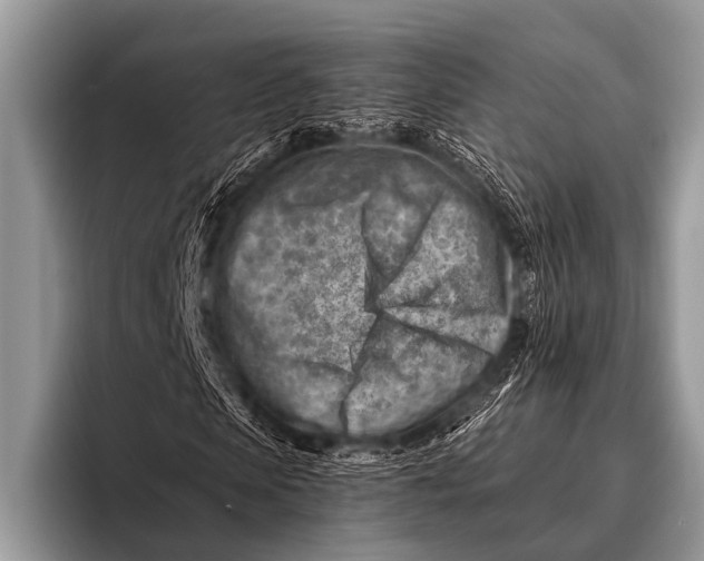 X0000096190913200802081516