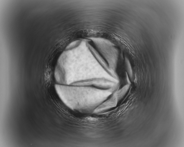 X0000096190914200802081516