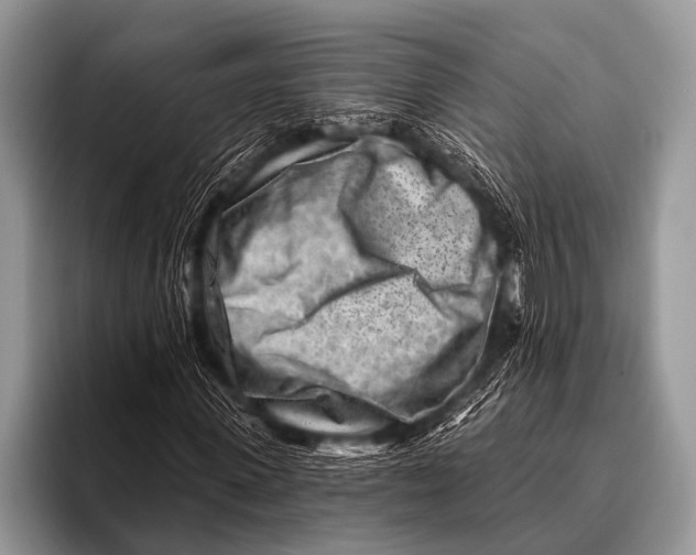 X0000096190915200802081516