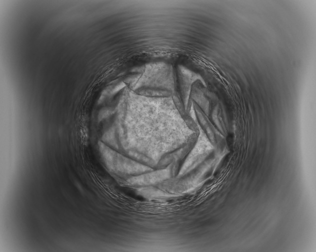 X0000096190916200802081517