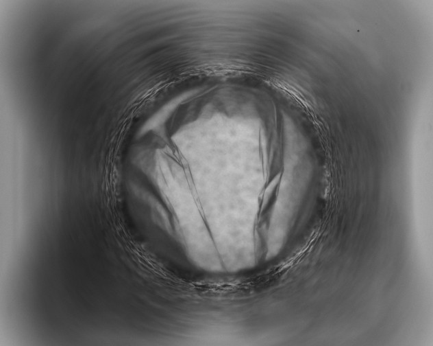 X0000096190917200802081517