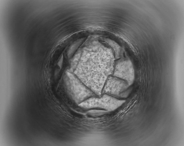 X0000096190919200802081517