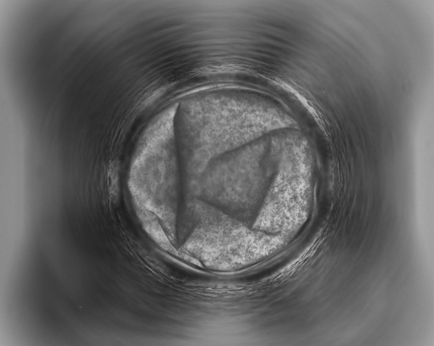 X0000096190921200802081517