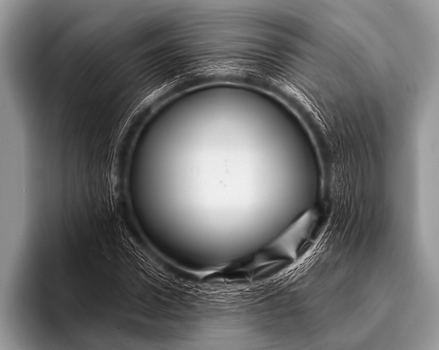 X0000096190922200802081517