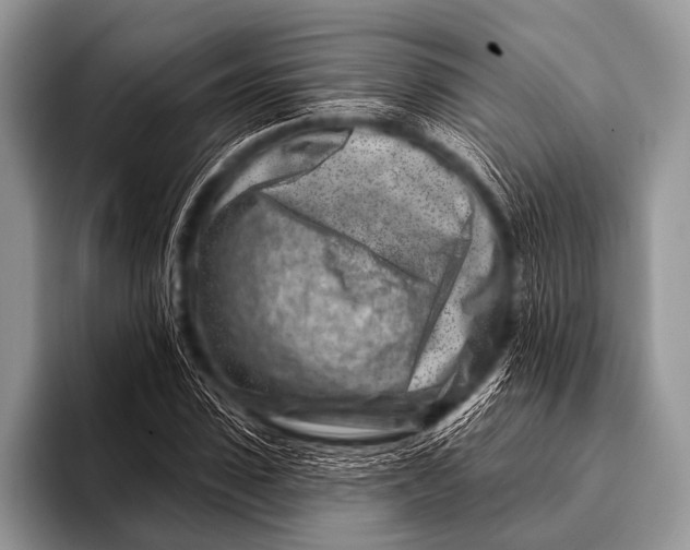 X0000096190923200802081517