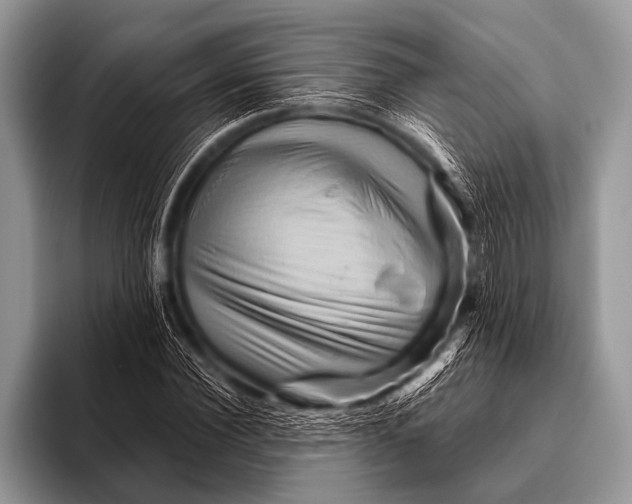 X0000096190924200802081517