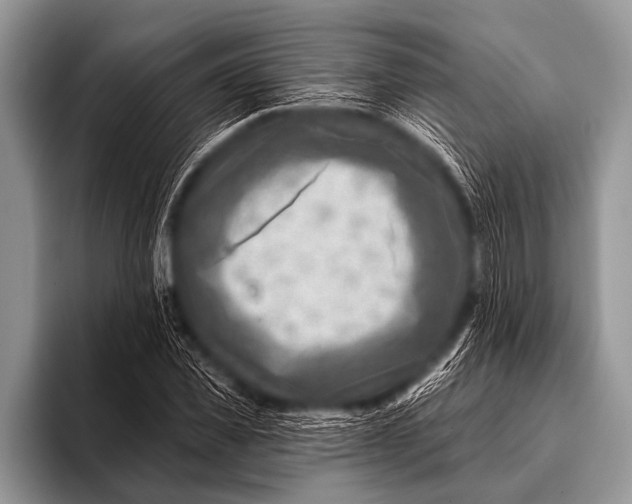 X0000096190925200802081517