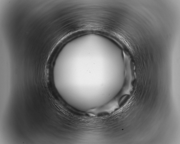 X0000096190926200802081517