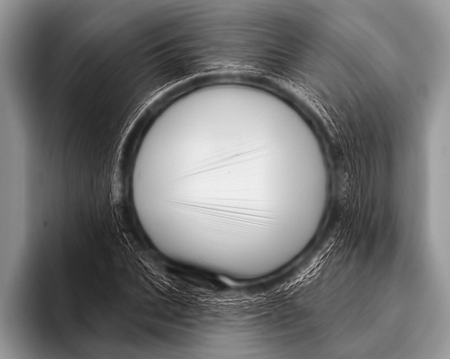 X0000096190927200802081517