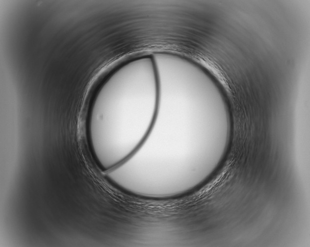 X0000096190928200802081517