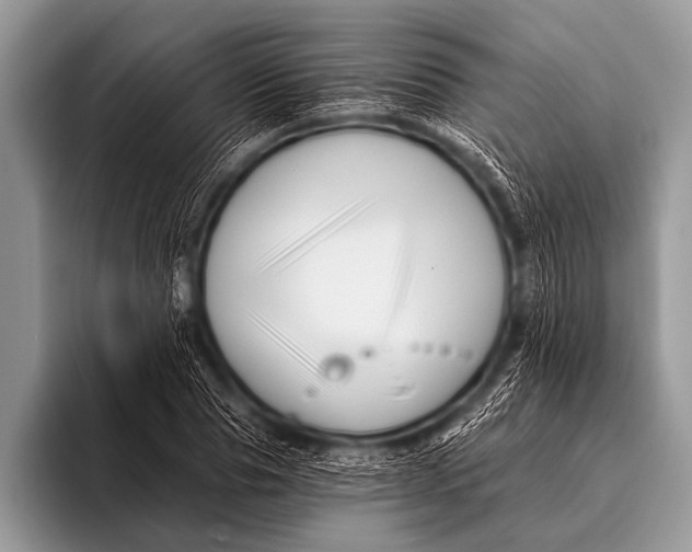 X0000096190929200802081517