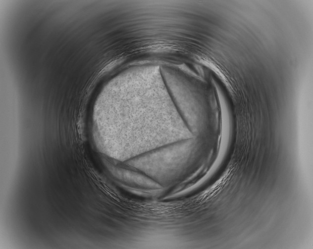 X0000096190930200802081517