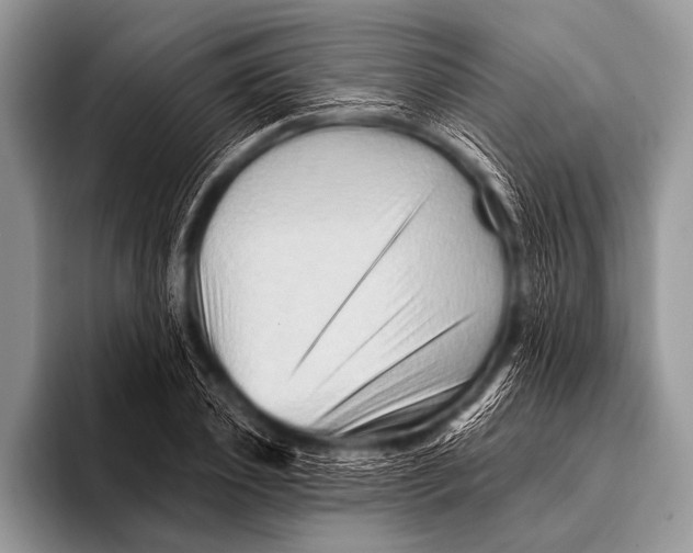 X0000096190933200802081517