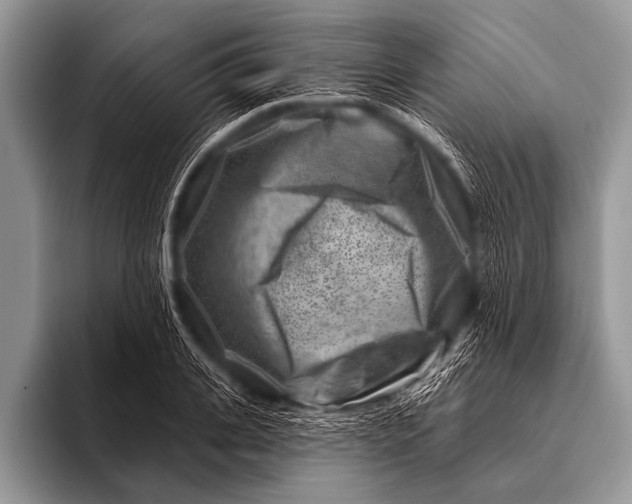 X0000096190935200802081517