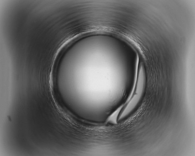 X0000096190936200802081517