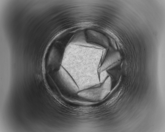 X0000096190939200802081517