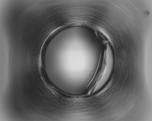 X0000096190940200802081517