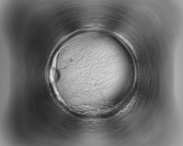 X0000096190941200802081517