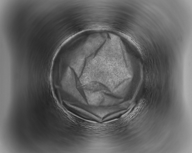 X0000096190943200802081517