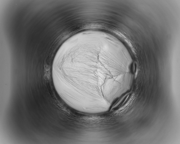 X0000096190945200802081517