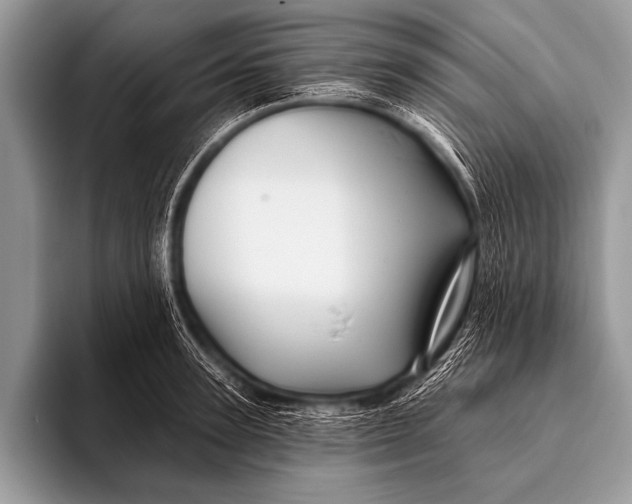 X0000096190947200802081517