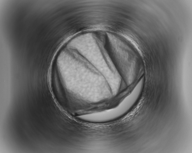 X0000096190949200802081517