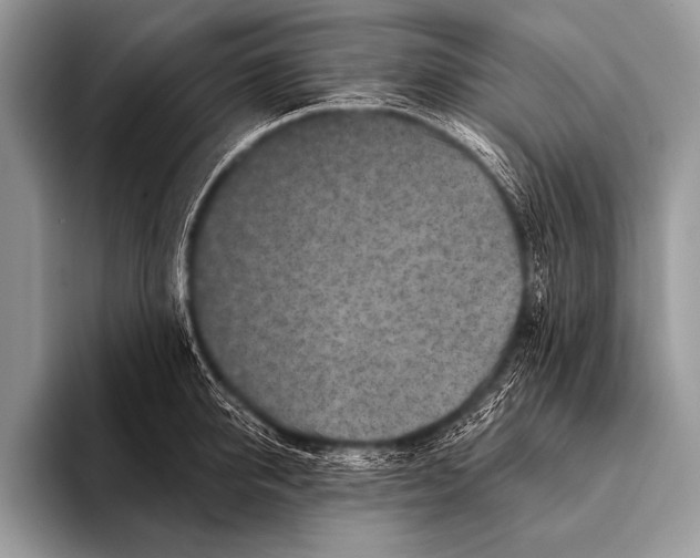 X0000096190950200802081517