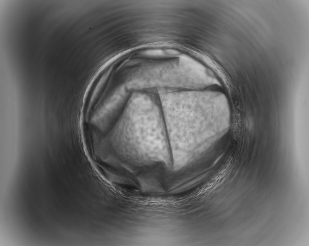 X0000096190951200802081517