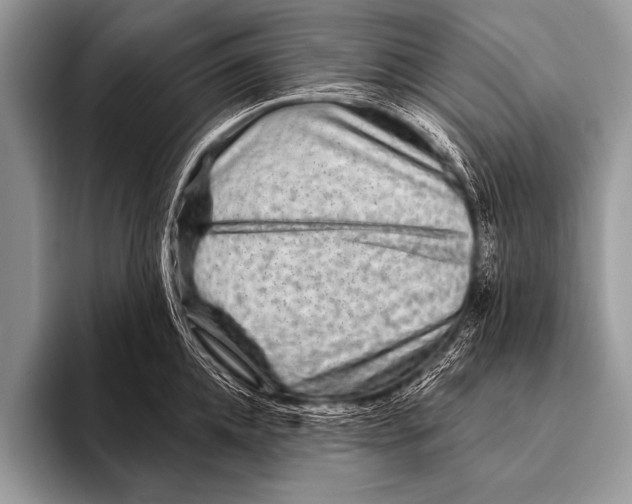 X0000096190952200802081517