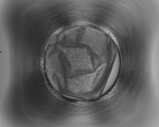 X0000096190954200802081517