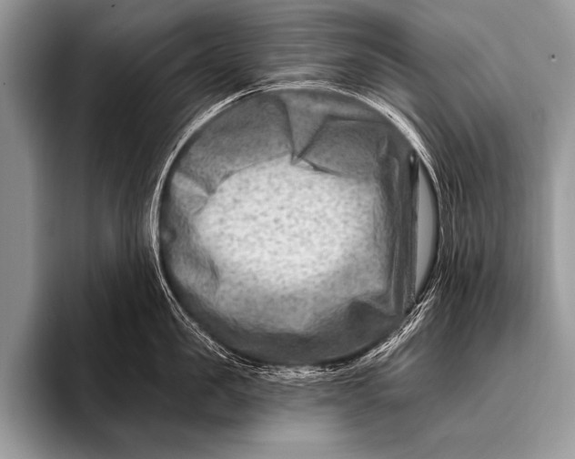 X0000096190957200802081517