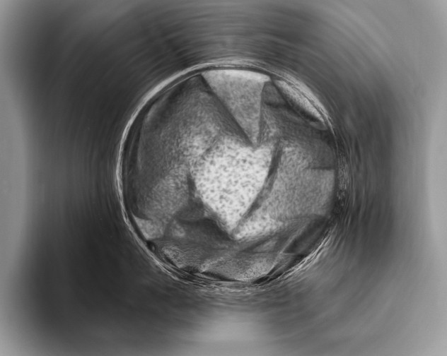 X0000096190959200802081517