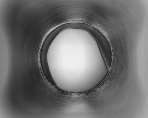 X0000096190960200802081517