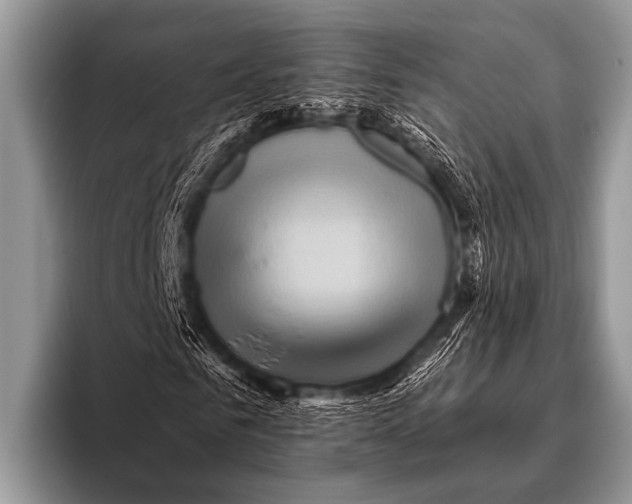 X0000096190961200802081516