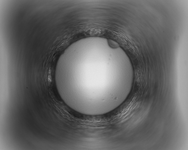 X0000096190962200802081516