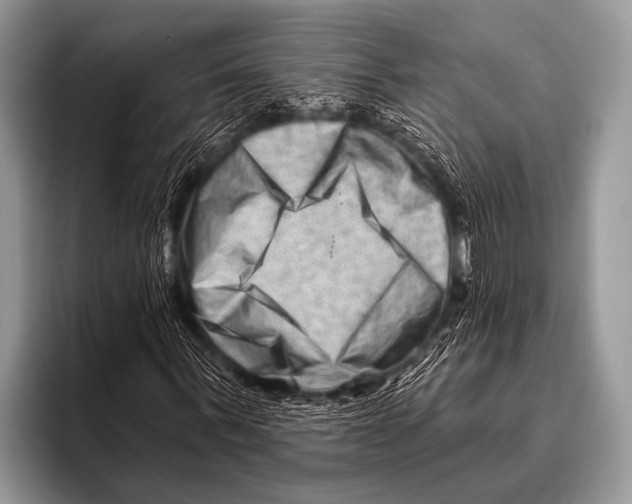 X0000096190963200802081516