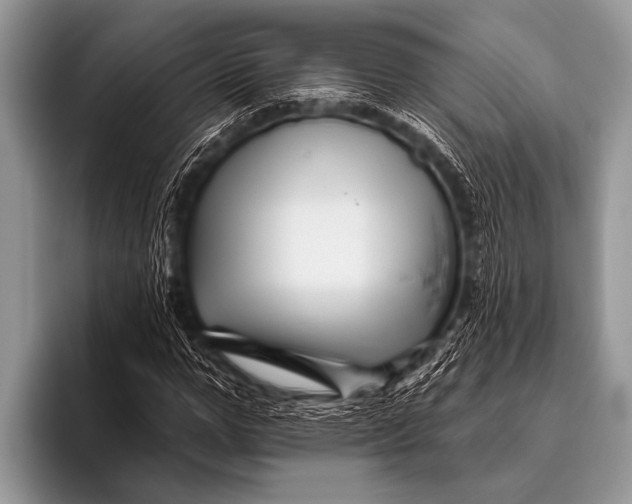 X0000096190967200802081516