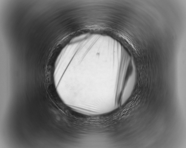 X0000096190968200802081516