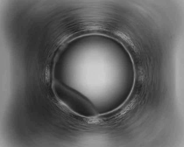 X0000096190969200802081516