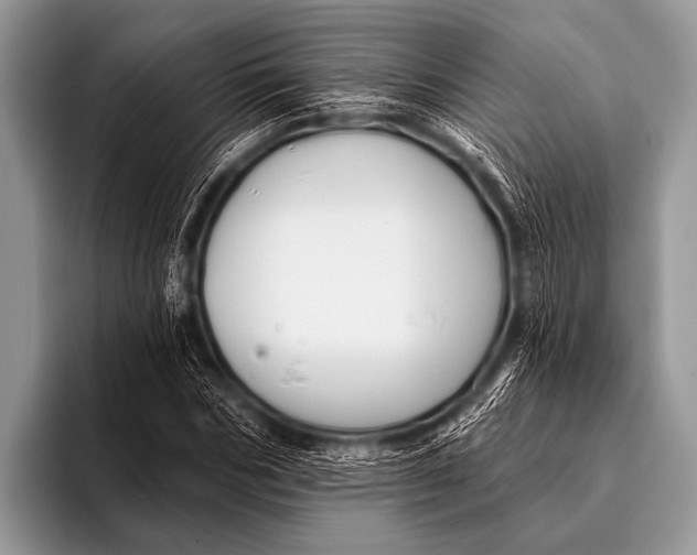 X0000096190970200802081516