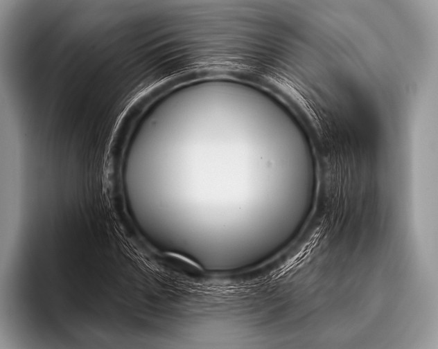 X0000096190971200802081516