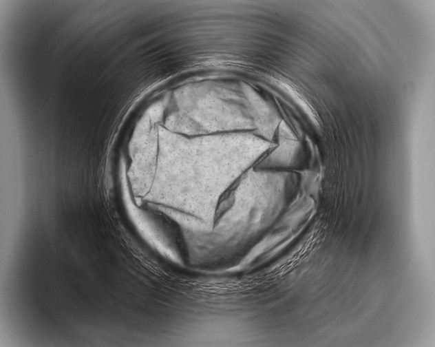 X0000096190972200802081516